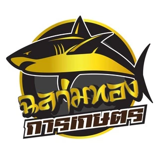 คาบู คาร์บู เลื่อยยนต์ รุ่น 3800 ขาพลาสติกดำ (ยี่ห้อ big dint)(B-0028)