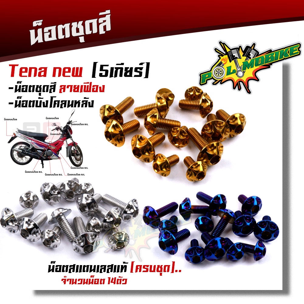 น็อตชุดสี TENA NEW 5เกียร์ (1ชุด14ตัว) เลสแท้100% น็อตหัวเฟือง ครบชุดรวม น็อตบังโคลน น็อตเฟรมเทน่า น็อตชุดสีเทน่า – โปรปัง