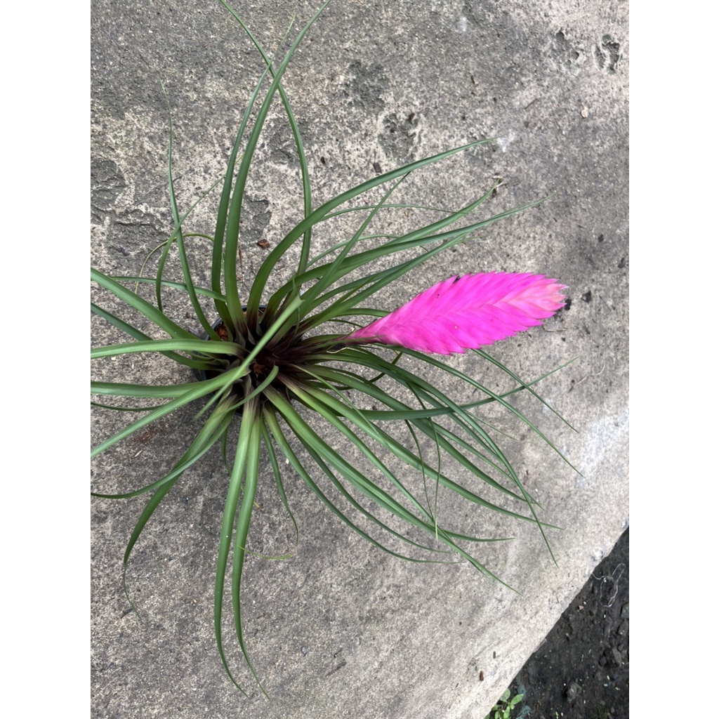 มุมมอง 2