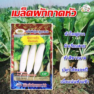 เมล็ดผักกาดหัว Radish เมล็ดพันธุ์ผักกาดหัว ผักกาดหัว เมล็ดผักสวนครัว ตราภูเขาทอง