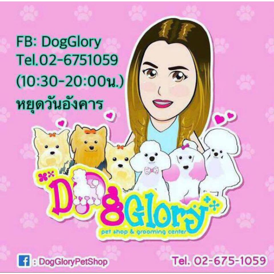 DogGlory Pet Shop