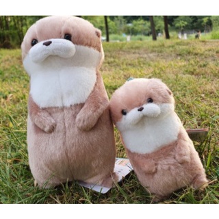 พร้อมส่ง OTTER ตุ๊กตาน้องนากยองแจ นุ่มนิ่ม สุดน่ารัก ไซส์ 11/17/36 ซม. YOUNGJAE