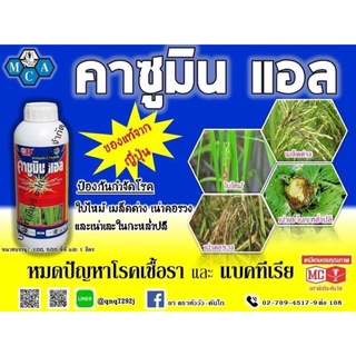 คาซูมิลแอลขนาด500ccป้องกันและกำจัดโรคเชื้อราเล็ดด่างเน่าคอรวงโรคเน่าในกะหล่ำปี