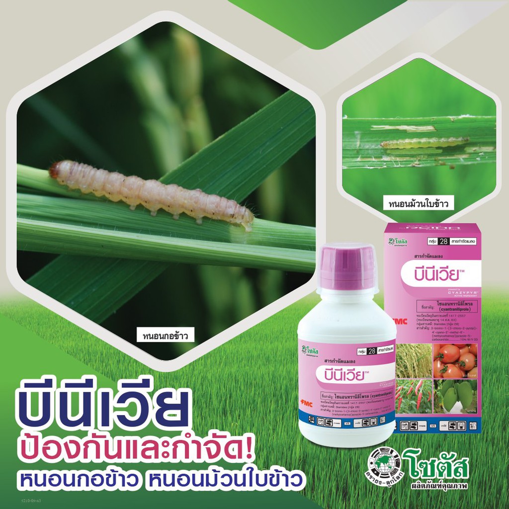 บีนีเวีย ไซแอนทรานิลิโพรล (cyantraniliprole) สารป้องกันกำจัดแมลง ได้หลายชนิดทั้ง แมลงปากดูด และปากกัด เพลี้ยไฟ หนอน ราคา ถูกที่สุด ดีลบีเคเค แกลเลอรีภาพที่ 3