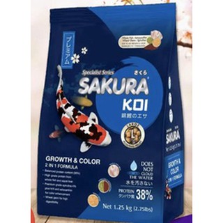 ซื้อ อาหารปลา Sakura KOI ขนาด1.25KG. สูตรเร่งสี