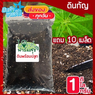 ดินปลูกกัญ 🍀ดินเพาะเมล็ด 1 กิโล ดินปลูกสารอาหารครบ ดินออแกนิค