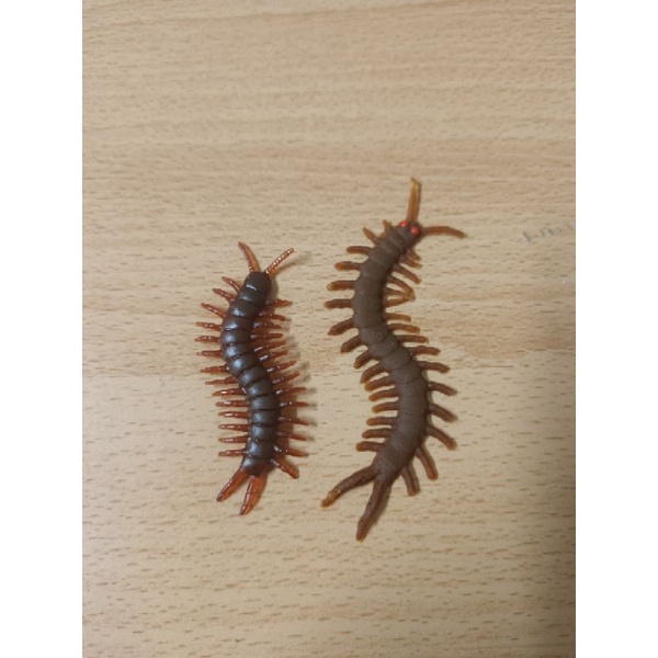 ตะขาบปลอม ตะขาบยาง ปาร์ตี้ฮาโลวีน ตะขาบสีน้ำตาล มี3ขนาด✌ - รูปที่ 5