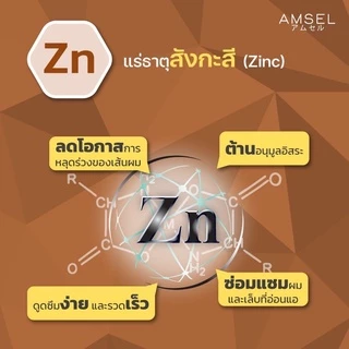 Amsel Biotin + Zinc & Horsetail Extract แอมเซล ไบโอติน ซิงค์ และสารสกัดจากหญ้าหางม้า(30 แคปซูลx1ขวด)