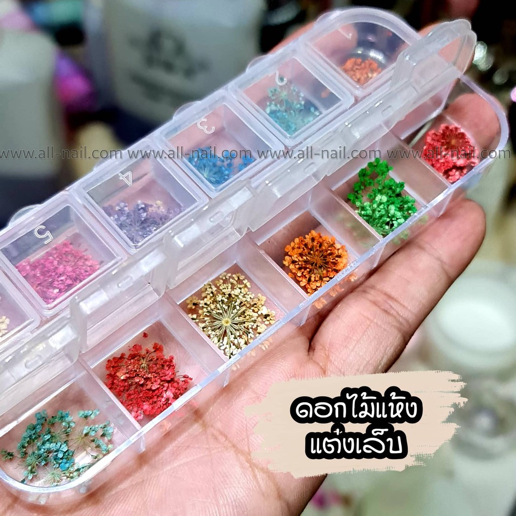 ดอกไม้แห้ง ดอกไม้แต่งเล็บ พร้อมกล่องเก็บ