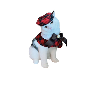 โปรโมชั่น : purrpet ปลอกคอชุดนักเรียน อินเตอร์