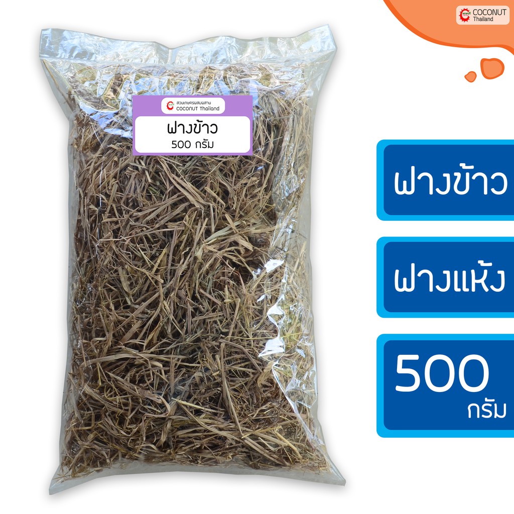 ฟางข้าว ฟางแห้ง 500 กรัม สำหรับคลุมดินรักษาความชื้น เพาะเห็ดฟาง ป้องกันหญ้าวัชพืชงอก เพิ่มอินทรีย์วัตถุให้กับดิน