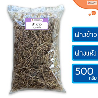 ฟางข้าว ฟางแห้ง 500 กรัม สำหรับคลุมดินรักษาความชื้น เพาะเห็ดฟาง ป้องกันหญ้าวัชพืชงอก เพิ่มอินทรีย์วัตถุให้กับดิน