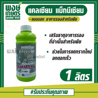 MAMMOTH Calcium Magnesium  แมมมอท แคลเซียม แม็กนีเซียม  1  ลิตร  ช่วยในการแตกรากใหม่ รากพืชแข็งแรง  พงษ์เกษตรอุตรดิตถ์