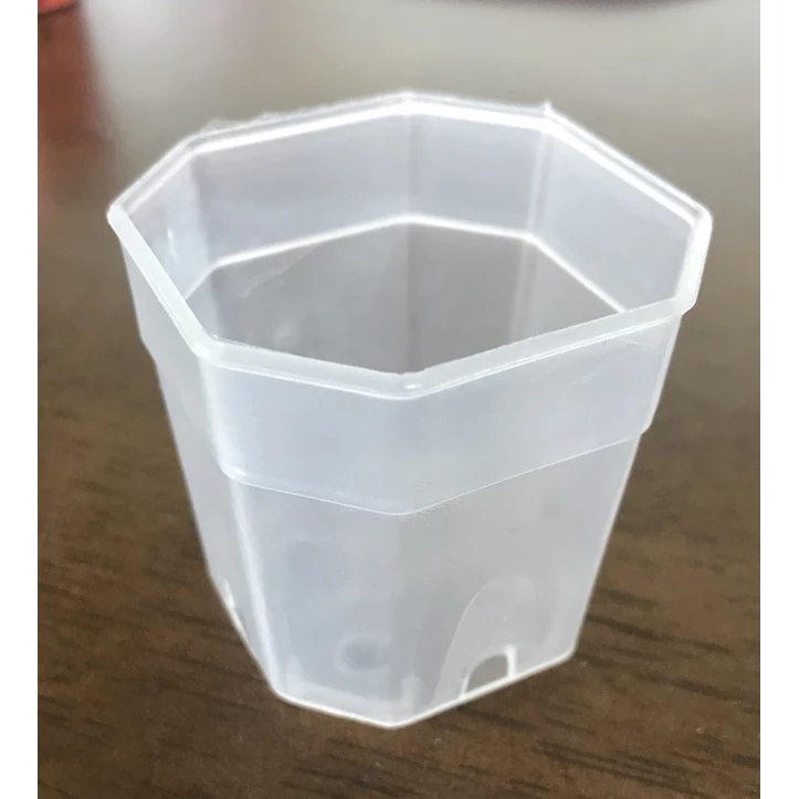 A0185 กระถางใสขนาด 2” 4” 6” ชุด50ใบ และ100ใบ