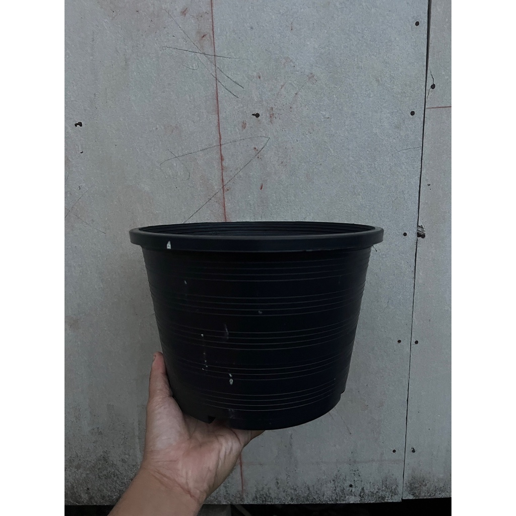 มุมมอง 4