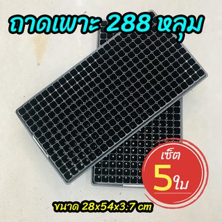 (Local ฟาร์มสุข เซ็ต 5 ใบ) ถาดเพาะ 288 หลุม ถาดเพาะชำ ถาดเพาะกล้า ถาดเพาะเมล็ด (Seed Tray)