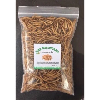 หนอนนกอบแห้ง โปรตีนสูง 100% สำหรับแฮมสเตอร์ เม่น กระรอก นก | Dried Mealworms [ZC Thai Pet]