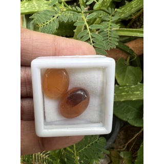 Agate Honey Color Oval 11x15, 2pcs 10cts