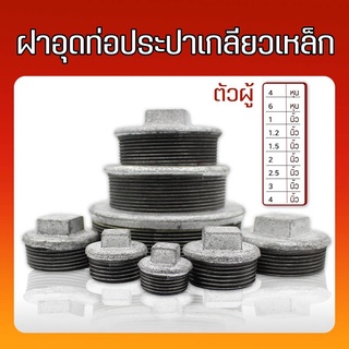 ฝาอุดท่อประปาเกลียวเหล็ก ขนาด 4 หุน-1.5 นิ้ว ตัวผู้