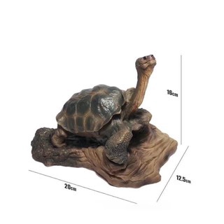 Lonesome George A/B set