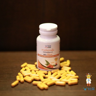 ^o^TCH ハーブ HERB ขมิ้นชัน Curcuma longa L. โรคกระเพาะอาหาร, กรดไหลย้อน, อาการปวดข้อ