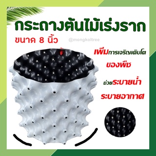 กระถางต้นไม้เร่งราก ขนาด 8 นิ้ว เร่งรากเร็วขึ้น 2 เท่า กระถางต้นไม้เพิ่มราก Air Pot แข็งแรง ทนทาน