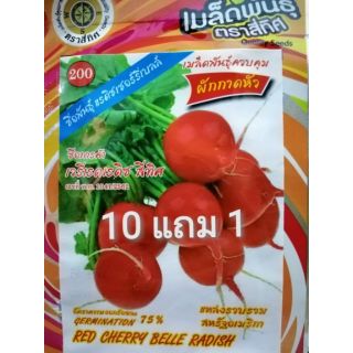 แรดิช เมล็ดแรดิช Red Cherry Belle Radish ประมาณ 120 เมล็ด (10 แถม 1)ตราสี่ทิศ แรดิส