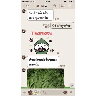 ส่งฟรี.ยอดหญ้าขนสด อินทรีย์ สำหรับหนูแกสบี้ & กระต่าย ตัดสดส่งทุกวัน 1 กก.