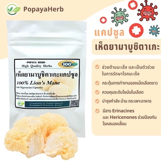 เห็ดยามาบูชิตาเกะผง LIONS MANE100% เกรดA บรรจุ100g.