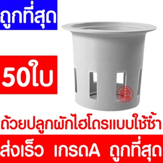 *ส่งไว* ถ้วยปลูกผัก 50ใบ ถ้วยขาวปลูกผัก ผักไฮโดรโปนิกส์ ผักไฮโดร ไฮโดร hydroponic hydro แบบใช้ซ้ำ หนา เหนียว ค่าส่งถูก