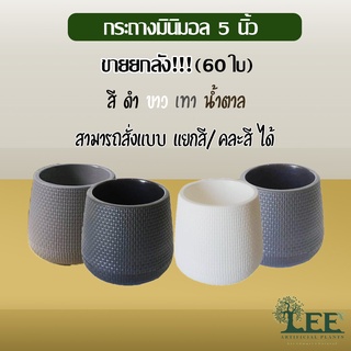 📌กระถางราคาส่ง❣️ กระถางมินิมอล (Minimal) กระถางเบลล่า กระถางพลาสติก 5 นิ้ว ยกลัง(60ใบ) กระถางต้นไม้