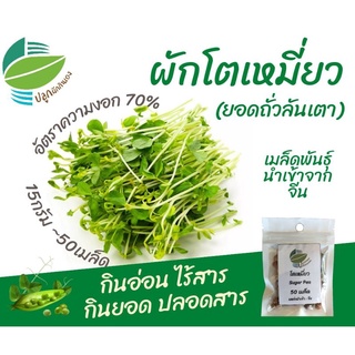 เมล็ดต้นอ่อน โตเหมี่ยว ยอดอ่อนถั่วลันเตา ~50 เมล็ด