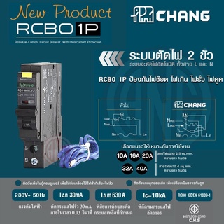 Chang เซอร์กิต กันดูด RCBO 1P ลูกย่อย