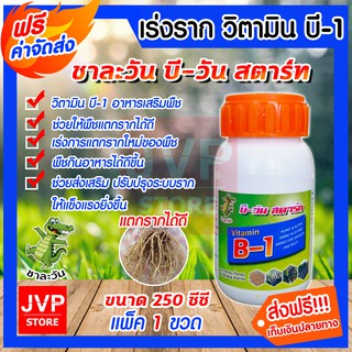 **ส่งฟรี** น้ำยาเร่งราก วิตามินบี-1 บรรจุ 250ซีซี(Plant supplement)ชาละวัน บี-วัน สตาร์ท อาหารเสริมพืช เร่งการแตกรากใหม่