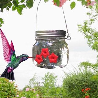 Outdoor Hanging Wild Bird Feeder Wren Finch Hummingbird Water Feeding