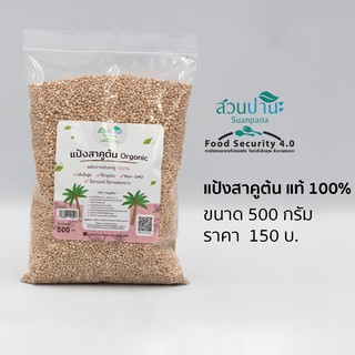 สาคูต้น  500 กรัม ( จากต้นสาคู 100% )