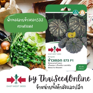 GGEW เมล็ดพันธุ์ซฟ ฟักทองลูกผสมข้าวตอก 573 25เมล็ด ตราศรแดง Pumpkin