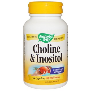 (พร้อมส่ง)Natures Way, Choline &amp; Inositol, 100 Capsules