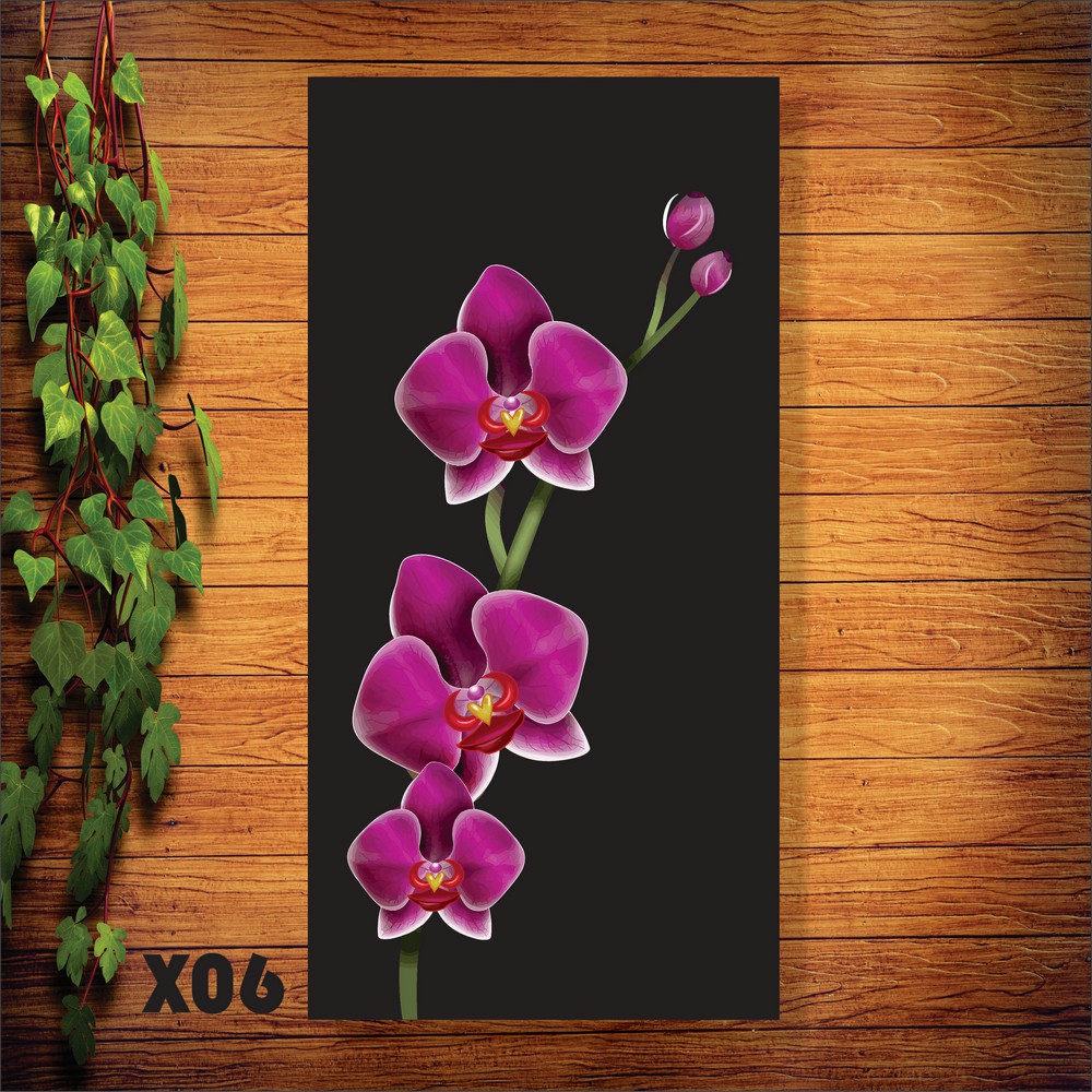 WALL DECOR WALL DISPLAY WALL DECORATION X06