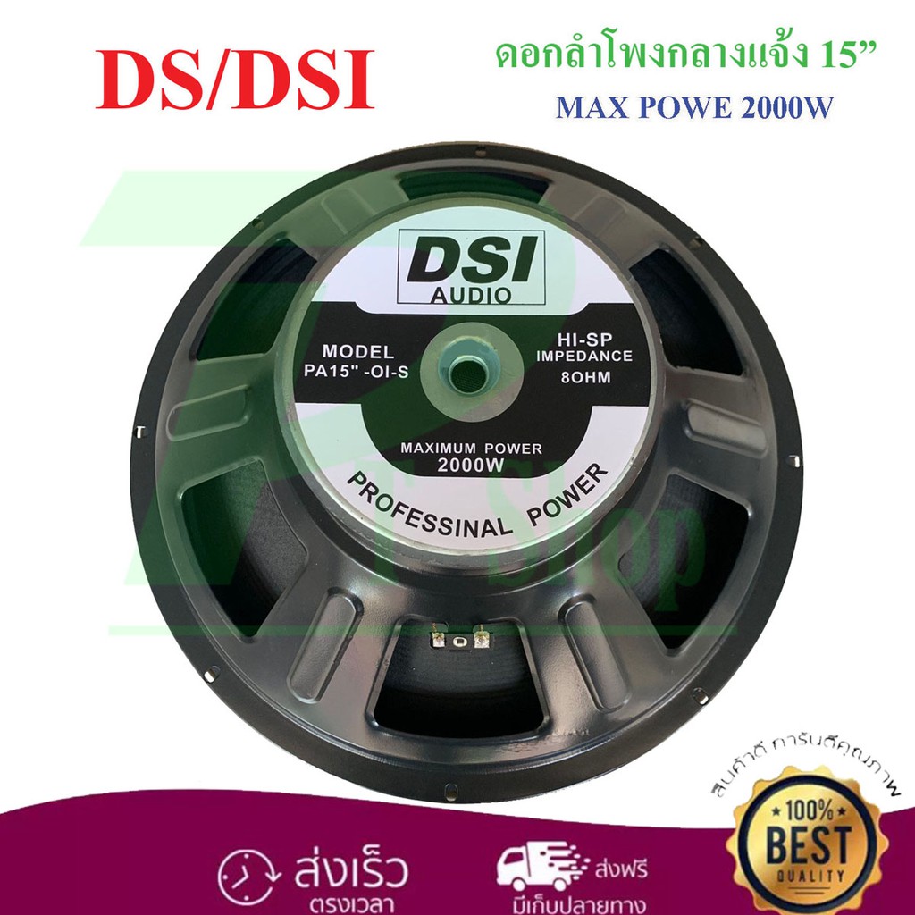 DS/DSI audio ดอกลำโพง 15" 8OHM 2000W รุ่น PA15-OI-S(156) สำหรับ ตู้ลำโพงกลางแจ้ง (สีดำ)