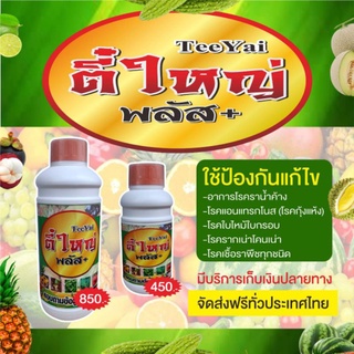 ตี๋ใหญ่พลัส แก้ไขป้อกันเชื้อราพืชทุกชนิด ขนาด 500 cc