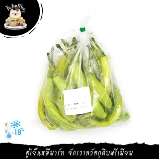 500G/PACK พริกหนุ่ม คัดตัดแต่ง YOUNG THAI NORTHERN CHILI / GREEN PEPPER (F)