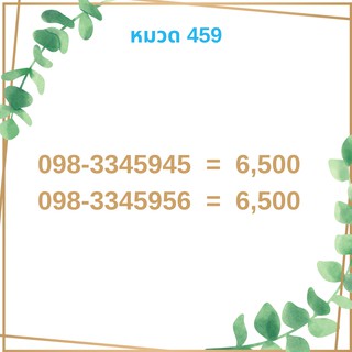 เบอร์มงคล 459 เบอร์มังกร เบอร์จำง่าย เบอร์รวย เบอร์เฮง ราคาถูก ราคาไม่แพง