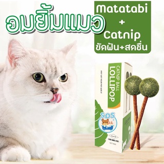 พร้อมส่ง‼️อมยิ้มแมว กัญชาแมว 🐱 ไม้มาทาทาบิ และ แคทนิป catnip matatani