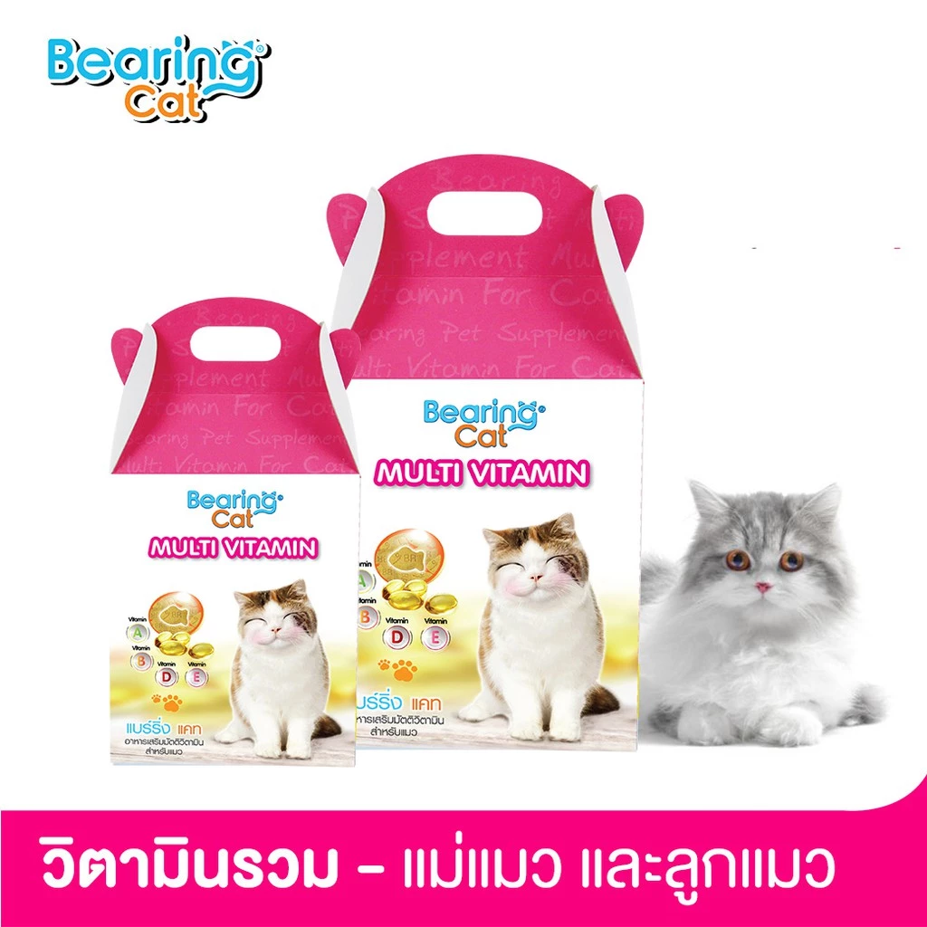 BEARING Cat Multi Vitamin for Cat วิตามินรวมสำหรับแมว วิตามินแมว อาหารเสริมแมว บำรุงสุขภาพบำรุงสายตา เสริมภูมิคุ้มกันแมว thumbnail 9