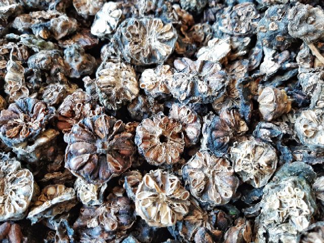 ลูกยอ ลูกยอแห้ง ผลยอ ผลยอแห้ง Dried noni fruit  ขนาด 30 กรัม - รูปที่ 2
