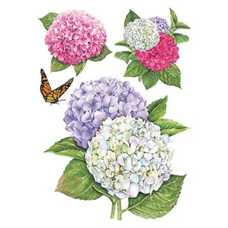 พร้อมส่ง สติ๊กเกอร์ลอกน้ำ DIY LIVING STYLE HYDRANGEA 34X47 ซม. แต่งผนัง sticker