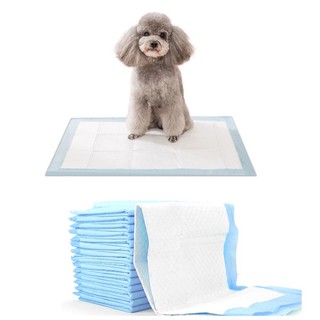 แผ่นรองฉี่ pet pad แผ่นรองฉี่หมา ฝึกขับถ่าย แผ่นฝึกฉี่ระงับกลิ่น