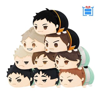 (รบกวนอ่านก่อนกดสั่งซื้อ)​ ไฮคิวคู่ตบฟ้าประทาน haikyuu