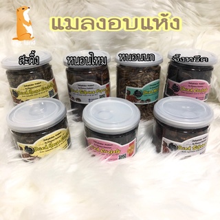 แมลงอบแห้งสำหรับสัตว์เลี้ยง,หนอนนกอบแห้ง,หนอนไหมอบแห้ง,จิ้งหรีดอบแห้ง,สดิ้งอบแห้ง